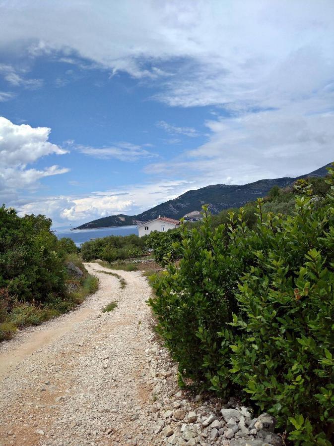 Secret Garden Apartment Neum Exterior photo